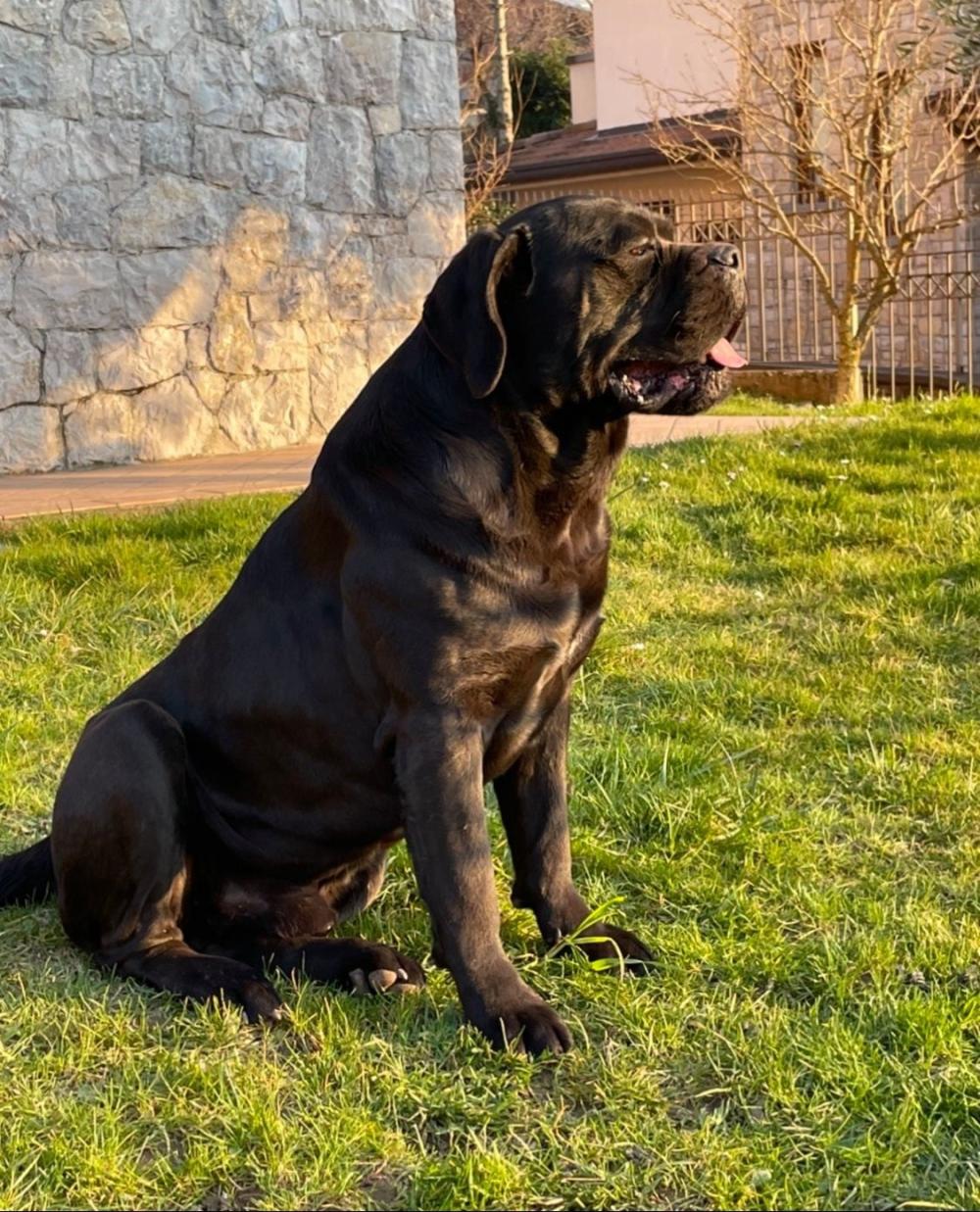 Mao de la Tour du Mont d'Or