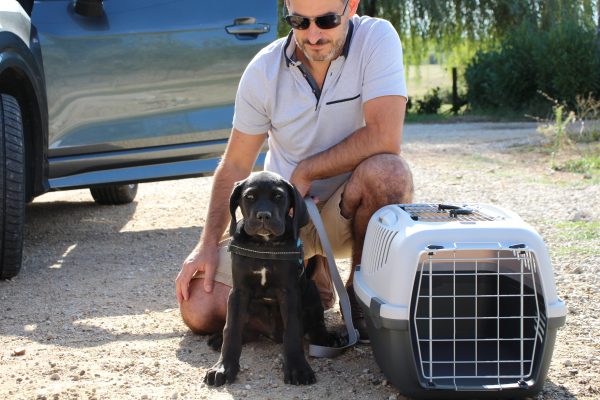 Berto a rejoint sa famille en Corse